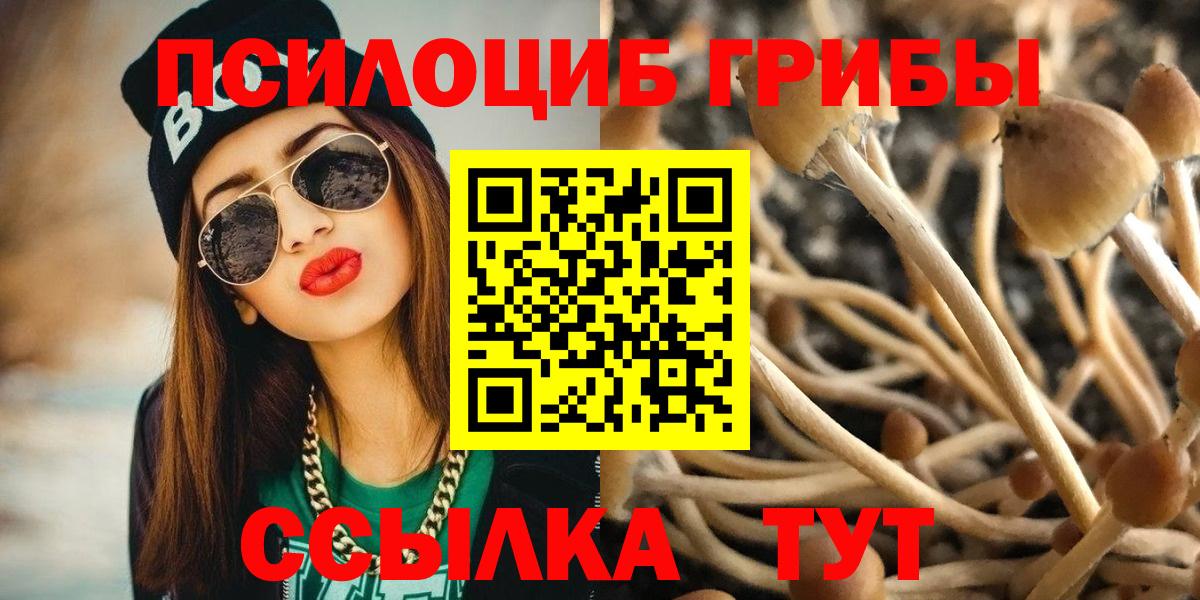 Галлюциногенные грибы Psilocybine cubensis Новотроицк