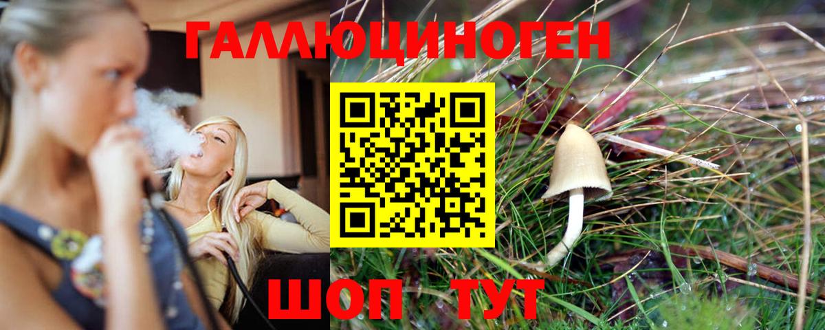 Гашиш Новотроицк