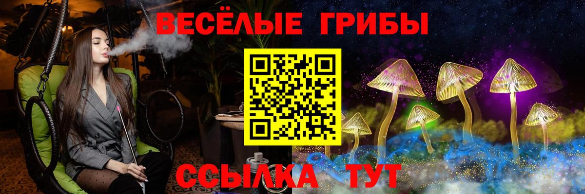 Новотроицк  Псилоцибиновые грибы прущие грибы  Вход с VPN 